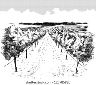 Landscape with vineyard and mountains. Reminiscent of images on wine labels.