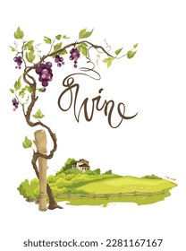 Landscape with vineyard. Vector illustration, vine on the background of the fields. Label for wine.	