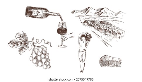 A landscape with a vineyard, wine in a glass and a bottle, a bunch of grapes, cheese, a man, a grape picker. Vector illustration, sketch.
