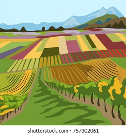 landscape with vineyards. vector illustration