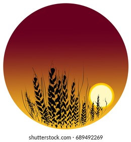 Landscape with wheat.