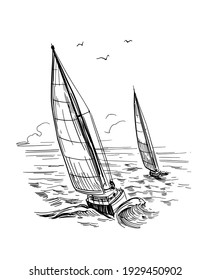 Landscape with yachts and the sea. Outline vector illustration. Yachting . Black on transparent backgroun