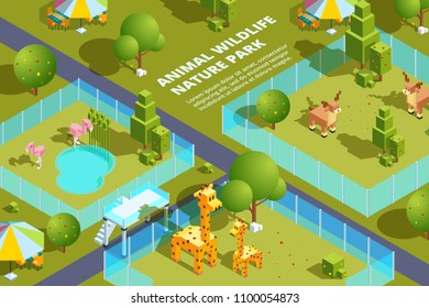Landscape of zoo with various animals. Stylized vector isometric illustrations. Animal deer and flamingo, giraffe in green park