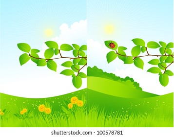 Landscapes