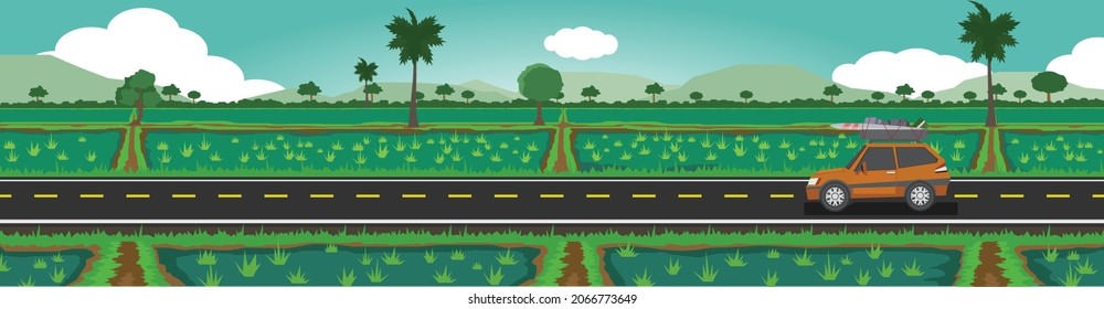 Landscapes view of travel car driving on the asphalt road. Cut through the paddy fields in the flooded countryside. trees lined up in the background and mountains under the blue sky.