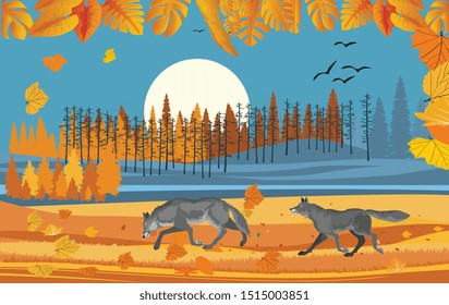 landscapes of wildlife in autumn. Wolves pack in wildlife scene, with field, grass, forests, and leaves falling from trees, vector 