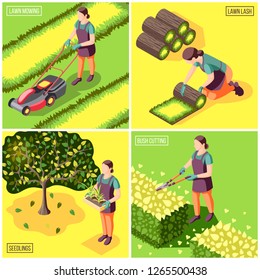 Landscaping isometric design concept with laying and mowing of lawn bushes trimming and seedlings isolated vector illustration