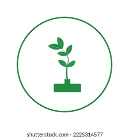 Landscaping tree leaf plant icon | Circle version icon |