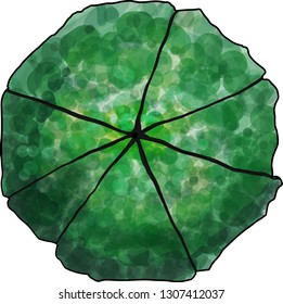 Landscaping tree plan for presentation, top view. Vector.