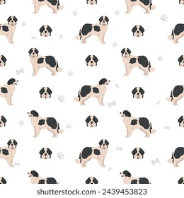 Landseer dog seamless pattern. Different coat colors set.  Vector illustration