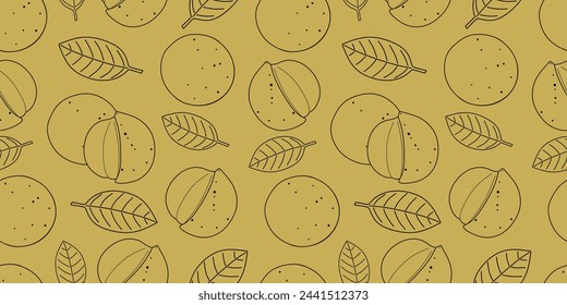 Langsat fruit and leaf seamless pattern. Hand drawn Longkong fruit and leaves in linear style. Beautiful exotic repeating background with Lansium parasiticum langsat. Line art vector illustration