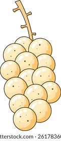 langsat fruit vectors design illustration