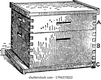 Langstroth Hive, has no other covering for the frame tops but a flat roof-board with some space between the roof and top-bars for bees to pass from frame to frame, vintage line drawing or engraving.