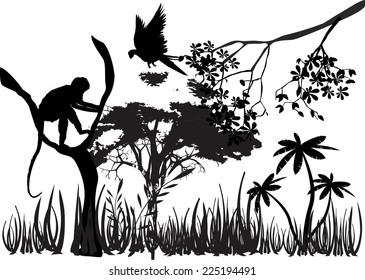 Langur monkey on tree branch in jungle silhouette