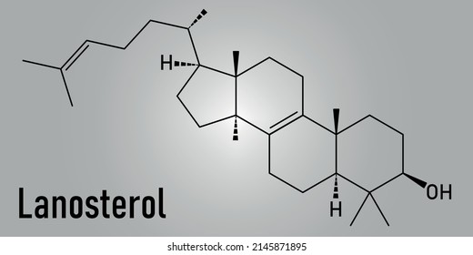 Lanosterol molecule. Investigated for treatment of cataract. Skeletal formula.