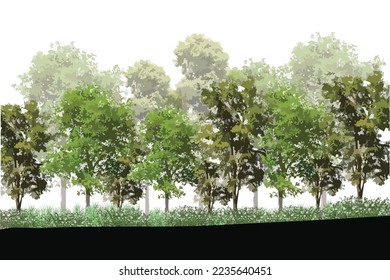 Lanscape park, Tree Line, Landscape Architecture