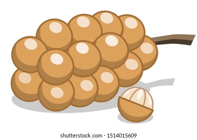 Lansium domesticum flat fluit, Longkong, vector draw