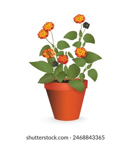 Lantana Camara with leaves, flowers and fruit berries in a plastic pot isolated on a white background. Houseplant realistic vector drawing for flower shop advertising, room design, sale banner, icon.