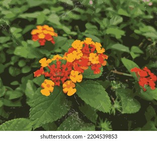 flor de lantana naranja rojo vectorial ilustración rojo color de agua naranja
