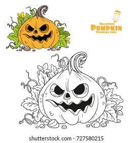 Lantern from pumpkin with the cut out of a grin and leaves color and outlined for coloring page