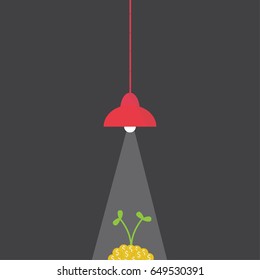 Lantern shining down on money tree, vector illustration.
