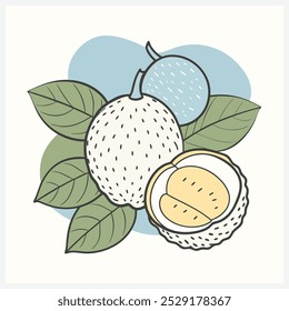 Lanzones Fruit Vektorgrafik - Lebhaftes und detailliertes tropisches Fruchtdesign
