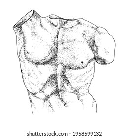 Laocoon torso, hand drawn illustration