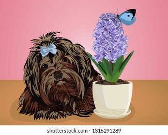 Lap dog little black dog on a pink background. Vector illustration.