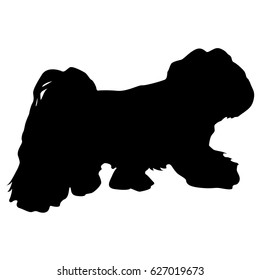 Lap dog silhouette on a white background.