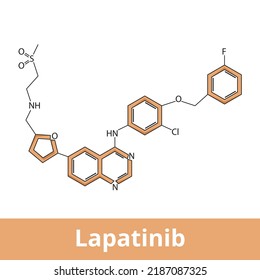 Lapatinib. An Orally Active Drug For Breast Cancer And Other Solid Tumors. It Is Used In Combination Therapy For HER2-positive Breast Cancer.