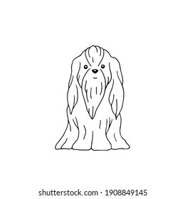Lapdog züchtet. Haustiere. Vektorhandgezeichnete doodle-Illustration. Schwarz-Weiß-Umriss. Färben