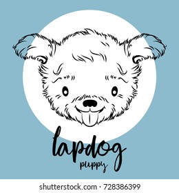 lapdog head isolated on white background. Vector illustration, element for design, cards, banners