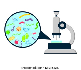 Laporatory biology or research science lab analisys equipment template. Microscope and zoomed view bacterias, germs, viruses and microorganisms flat style cartoon design banner vector illustration.