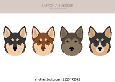 Lapponian Herder clipart. Different poses, coat colors set.  Vector illustration