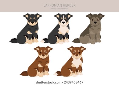 Lapponian Herder puppy clipart. Different poses, coat colors set.  Vector illustration