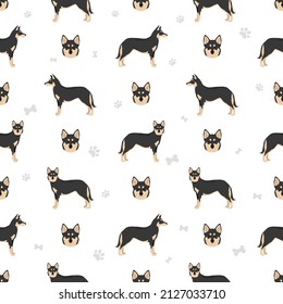 Lapponian Herder seamless pattern. Different poses, coat colors set.  Vector illustration