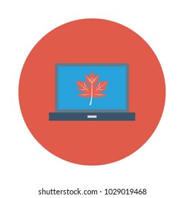 laptop leaf nature 