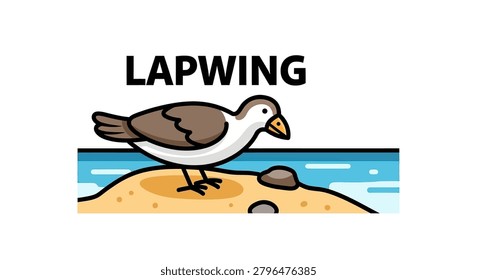Lapwing bird with brown and white feathers