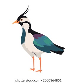 lapwing bird cartoon icon isolated