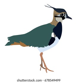 Lapwing. Logo, icon, symbol.