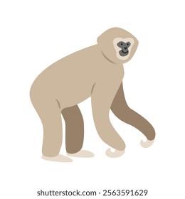 Lar gibbon cartoon clipart. Great ape white-handed gibbon vector illustration in flat style. Hand-drawn wild animal concept