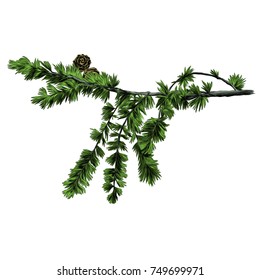 larch branch sketch vector graphics color picture