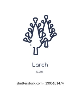 larch icon from nature outline collection. Thin line larch icon isolated on white background.