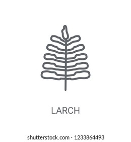 Larch icon. Trendy Larch logo concept on white background from Nature collection. Suitable for use on web apps, mobile apps and print media.