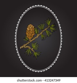 Larch (Larix decidua) branch with cone. Hand drawn botanical vector illustration