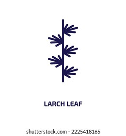 larch leaf icon from nature collection. Thin linear larch leaf, larch, forest outline icon isolated on white background. Line vector larch leaf sign, symbol for web and mobile