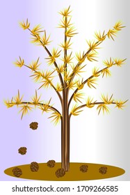 larch tree in autumn with fallen cones and yellow needles, on a white-purple background