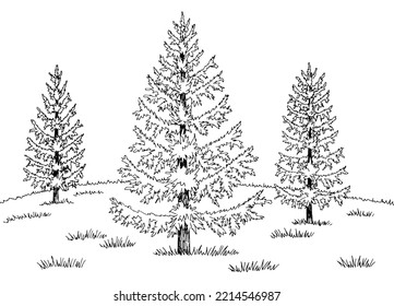 Larch tree grove graphic black white landscape sketch illustration vector 