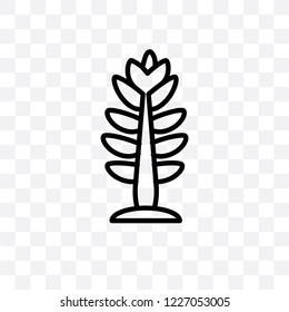 Larch vector linear icon isolated on transparent background, Larch transparency concept can be used for web and mobile