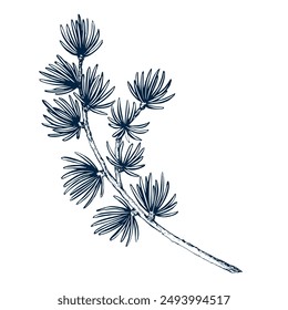 Larch wreath with cone. Botanical hand drawn Isolated vector illustration. Larch twig sketch template for card design Christmas invitation, poster, party, holiday decor. Engraving style banner